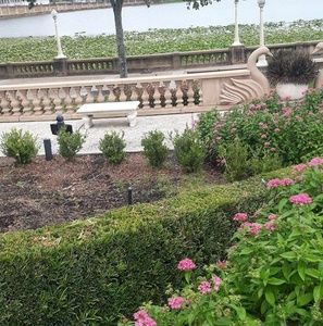 Meet your Posher, Junie